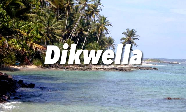 Dickwella Guide