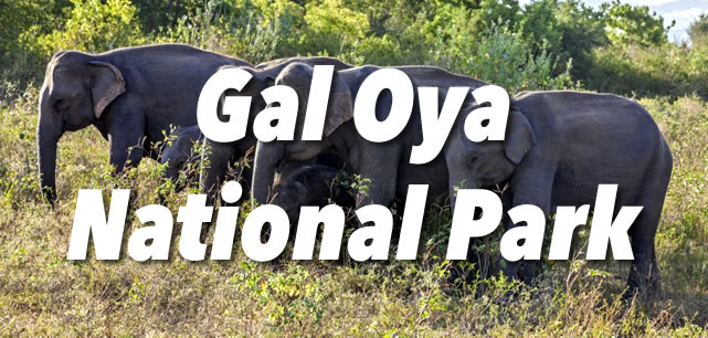 Gal Oya National Park Guide