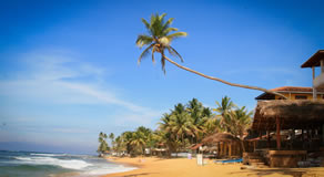 Sri Lanka Beach Tour