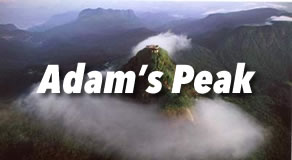 Adam's Peak 