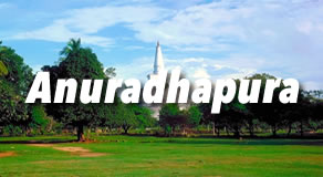 Anuradhapura Budget Hotels