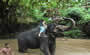 Elephant Family Sri Lanka