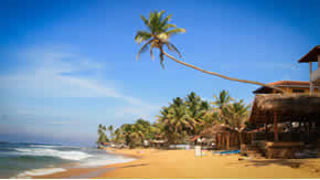Sri Lanka Tour Package 2023